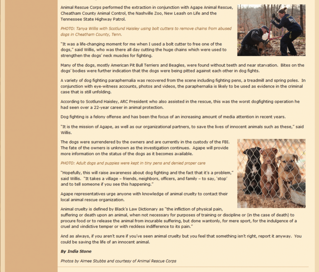 Agape Animal Rescue charity blog written by India Stone titled Operation Broken Chain