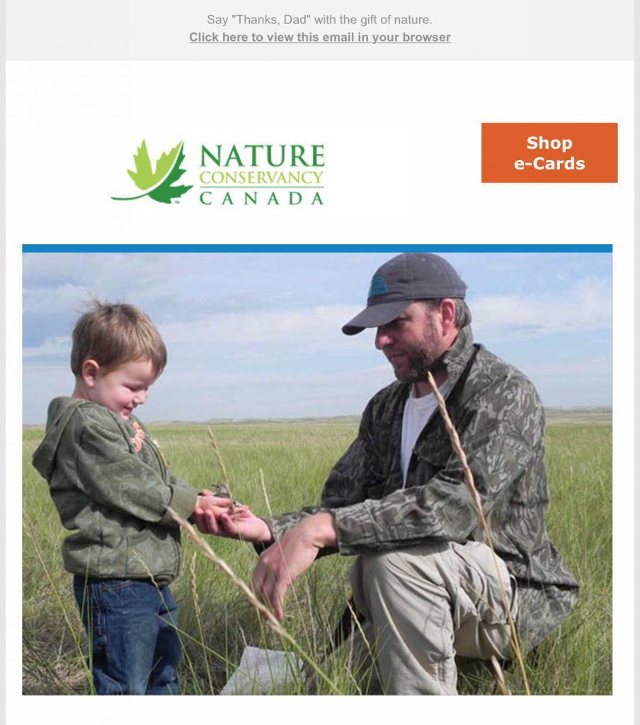Nature Conservancy of Canada Gifts of Nature e-card promo email written by India Longpre